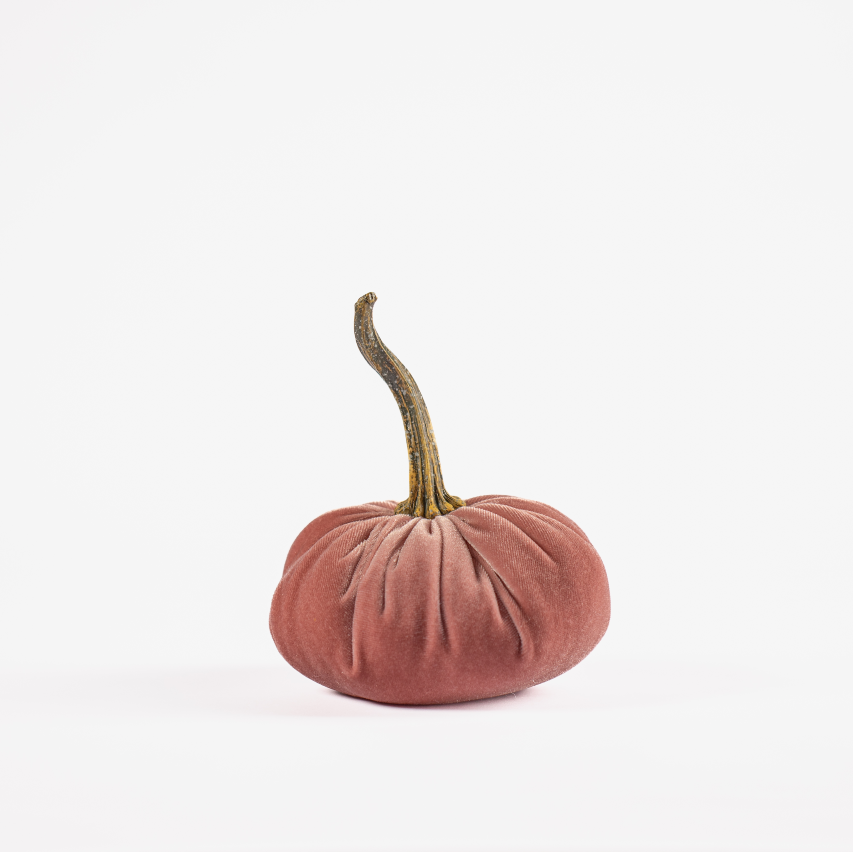 Duo of Blush Velvet Pumpkins