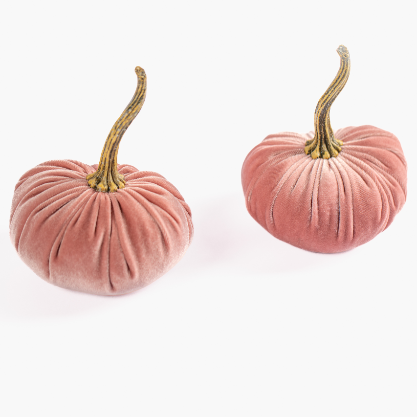 Duo of Blush Velvet Pumpkins