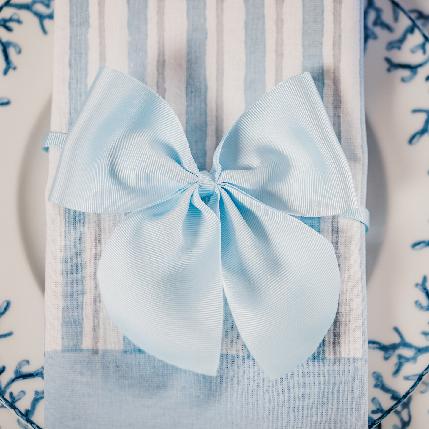 Bluebell Stripe Napkins (Set of Two)