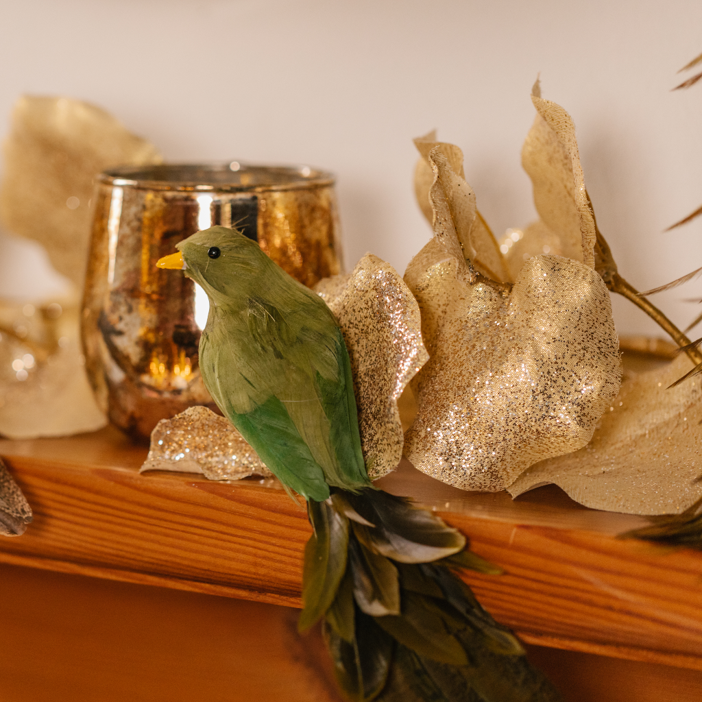 Evergreen Feather Bird