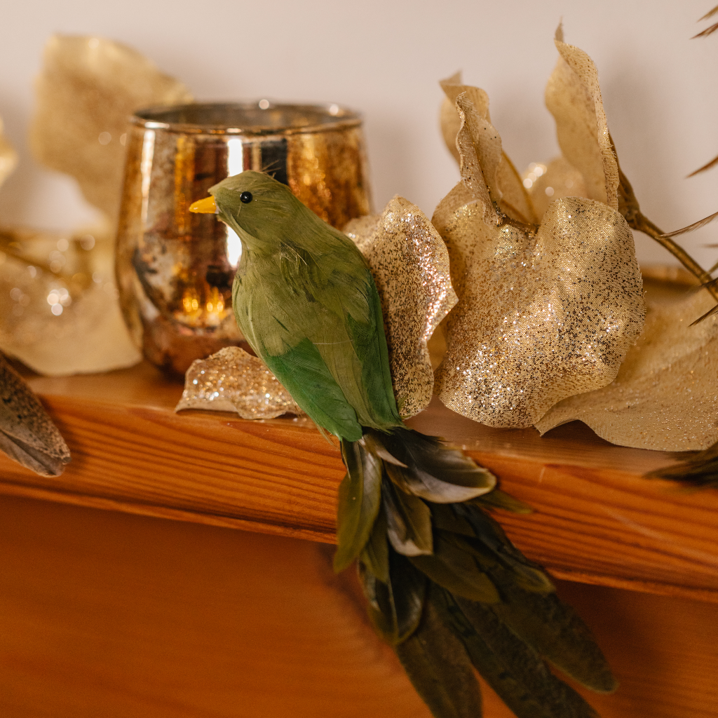 Evergreen Feather Bird