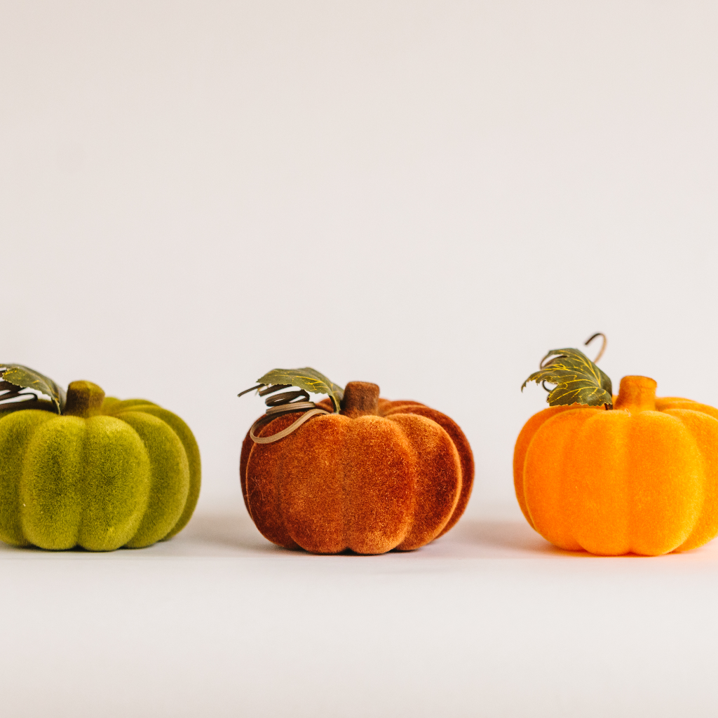 Row of flocked velvet fall pumpkin home decorations