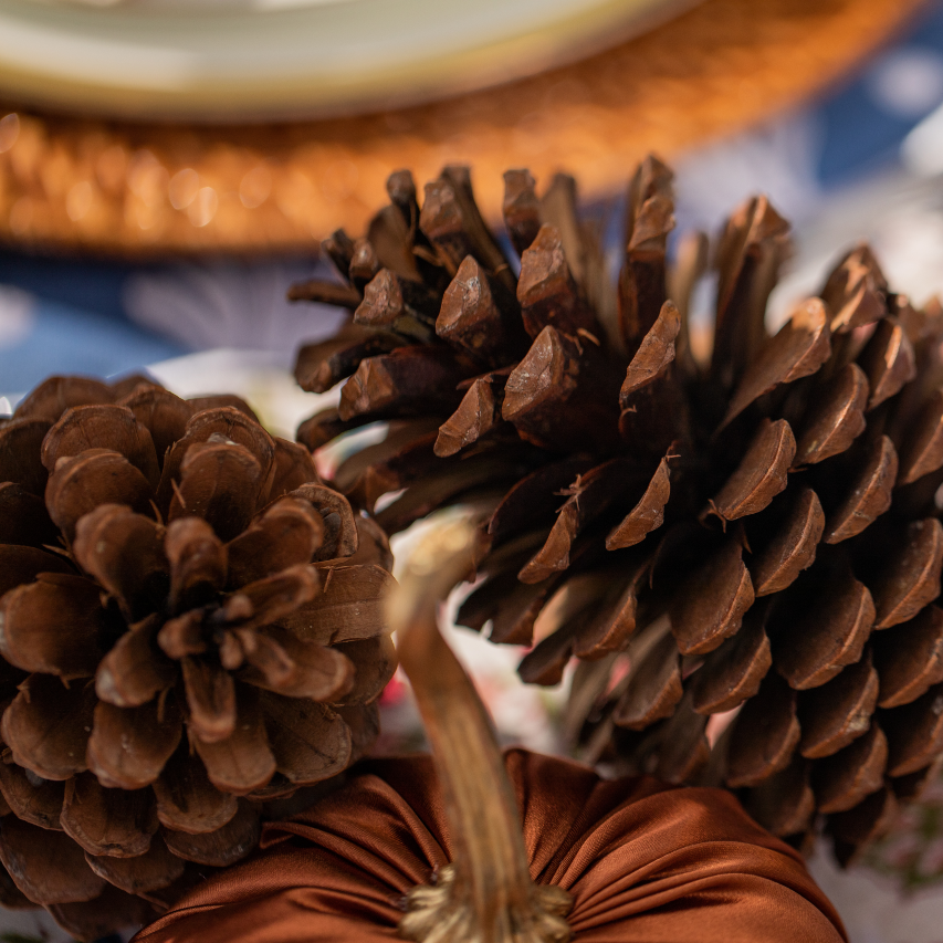 Truffle's Giant Pine Cones (Set of Four)