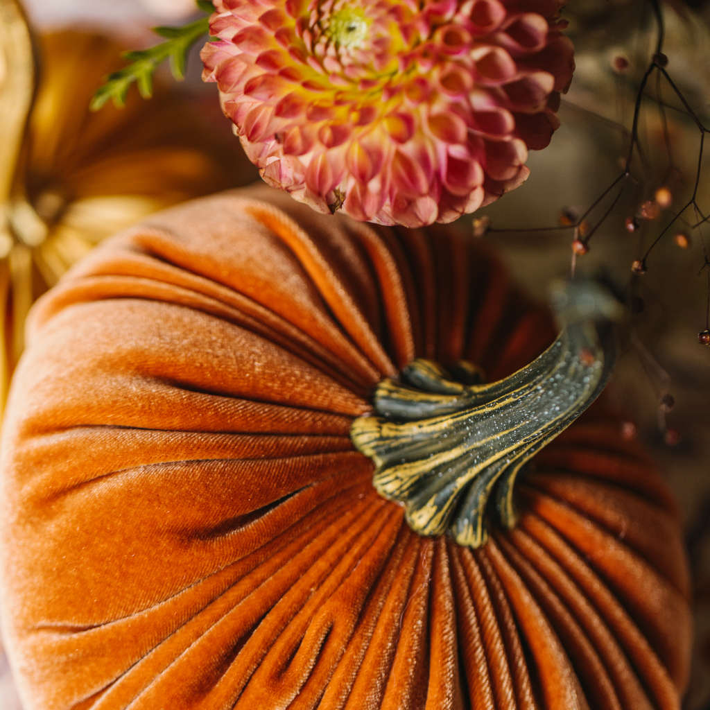 Close up of velvet pumpkin home decoration and dahlia