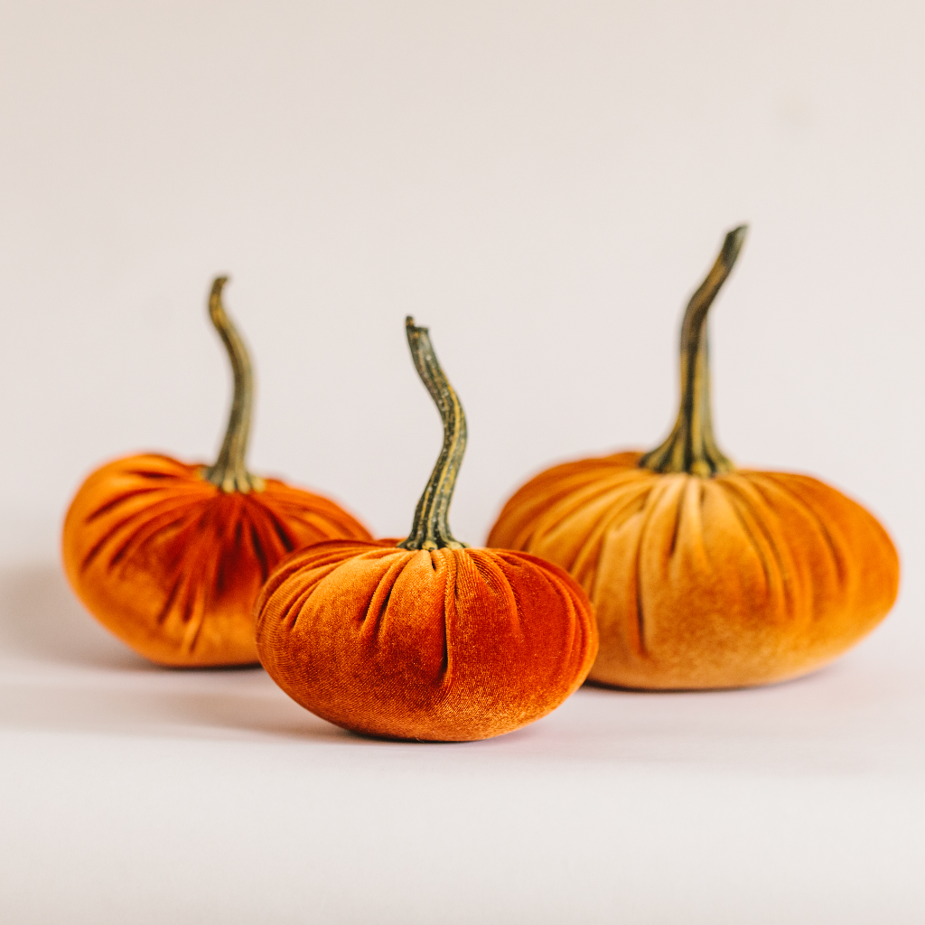 Trio of luxury velvet pumpkins in harvest and orange