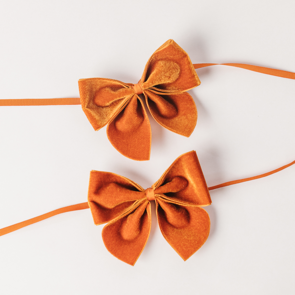 Amber Velvet Napkin Bows (Set of Two)