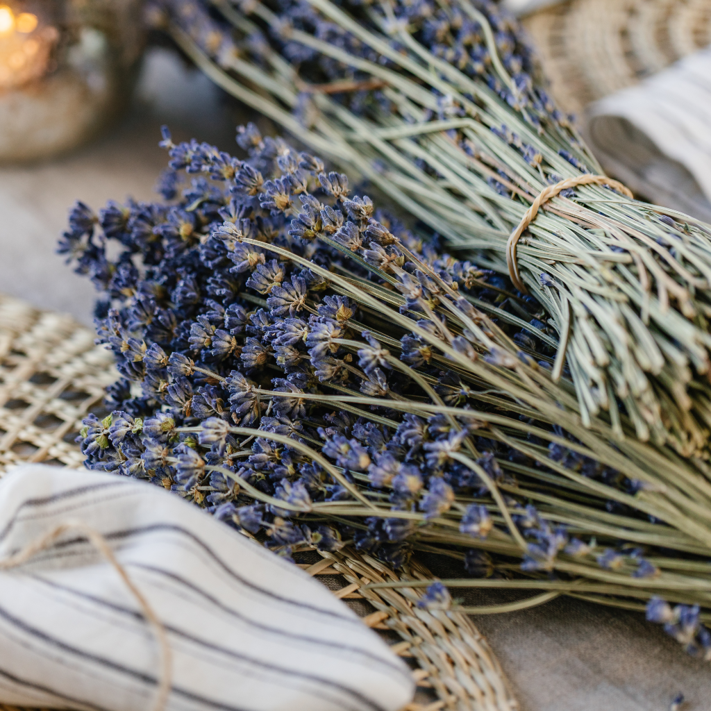 Dried Lavender Bunch
