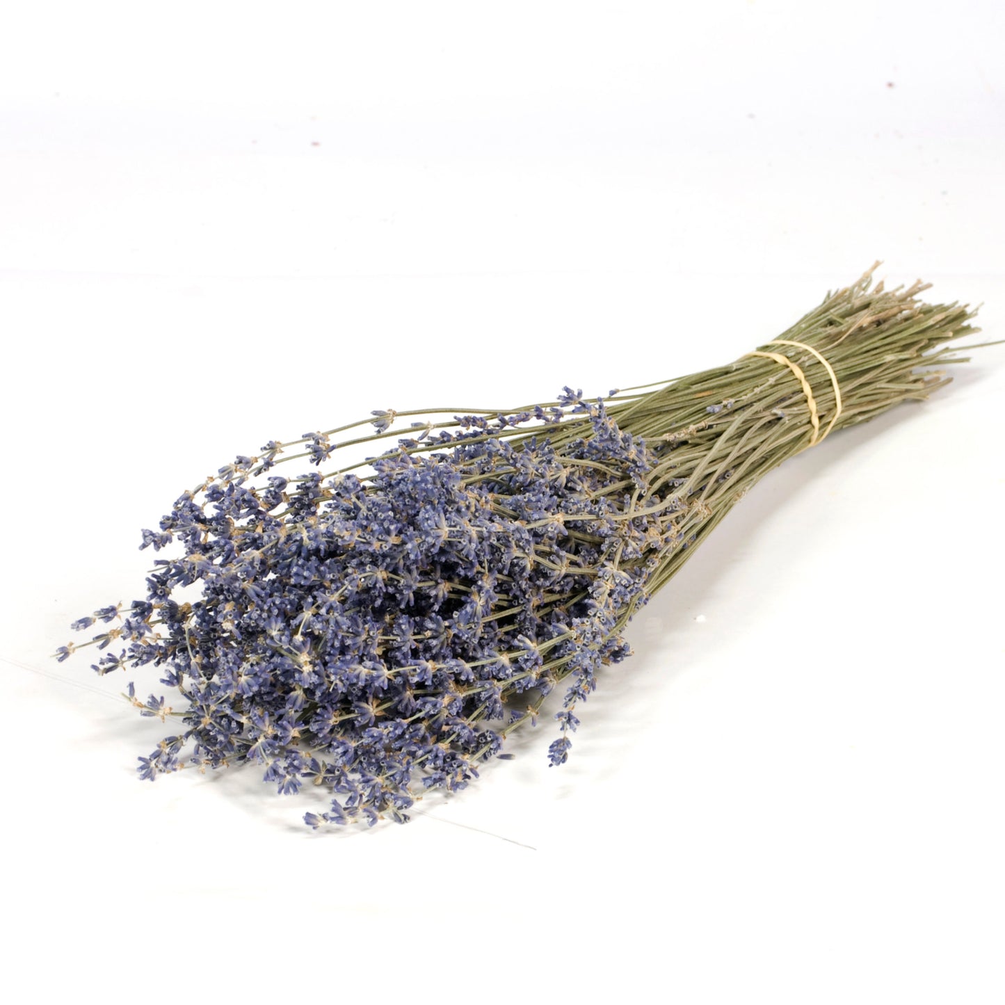 Dried Lavender Bunch